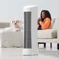 Ionic Air Purifier