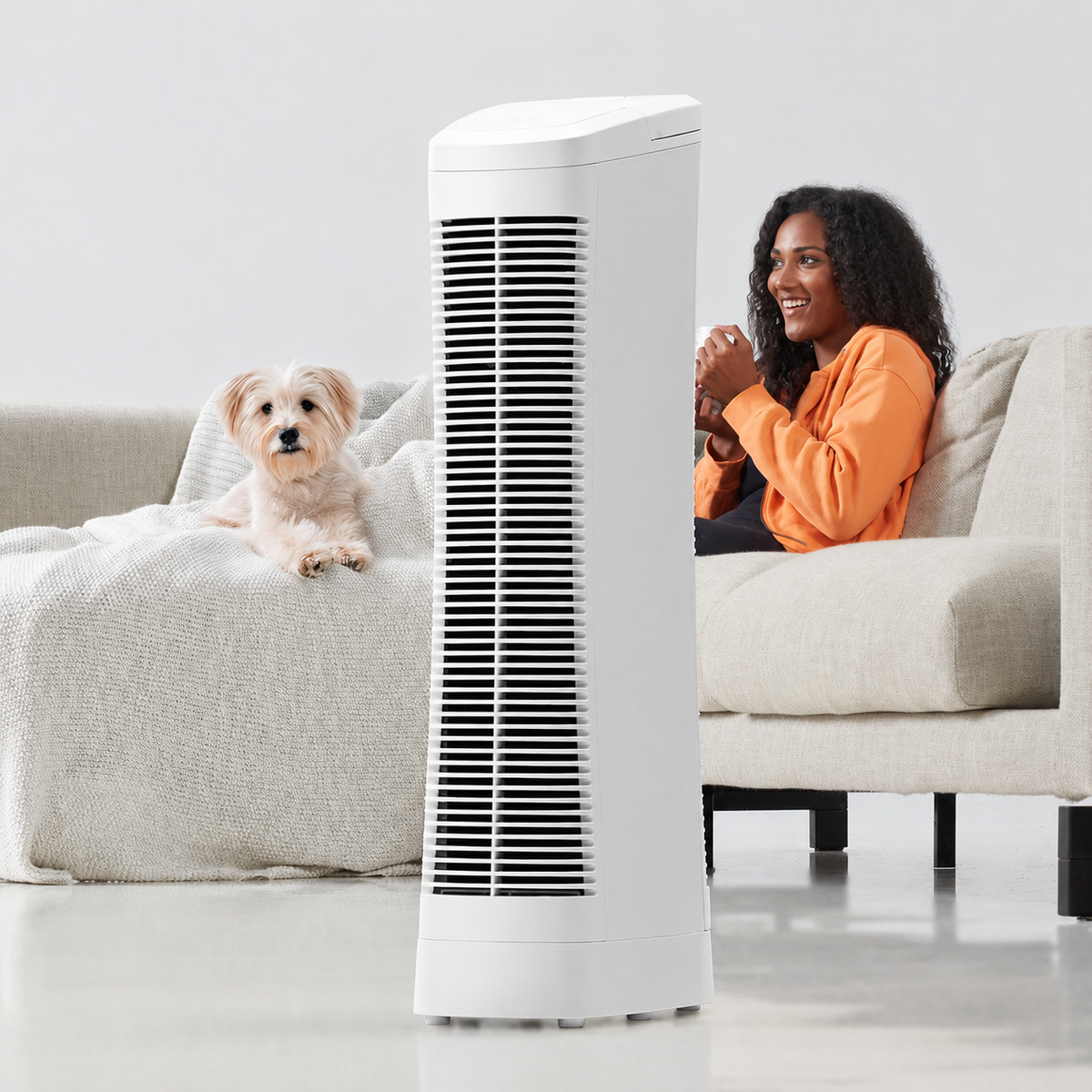 Ionic Air Purifier