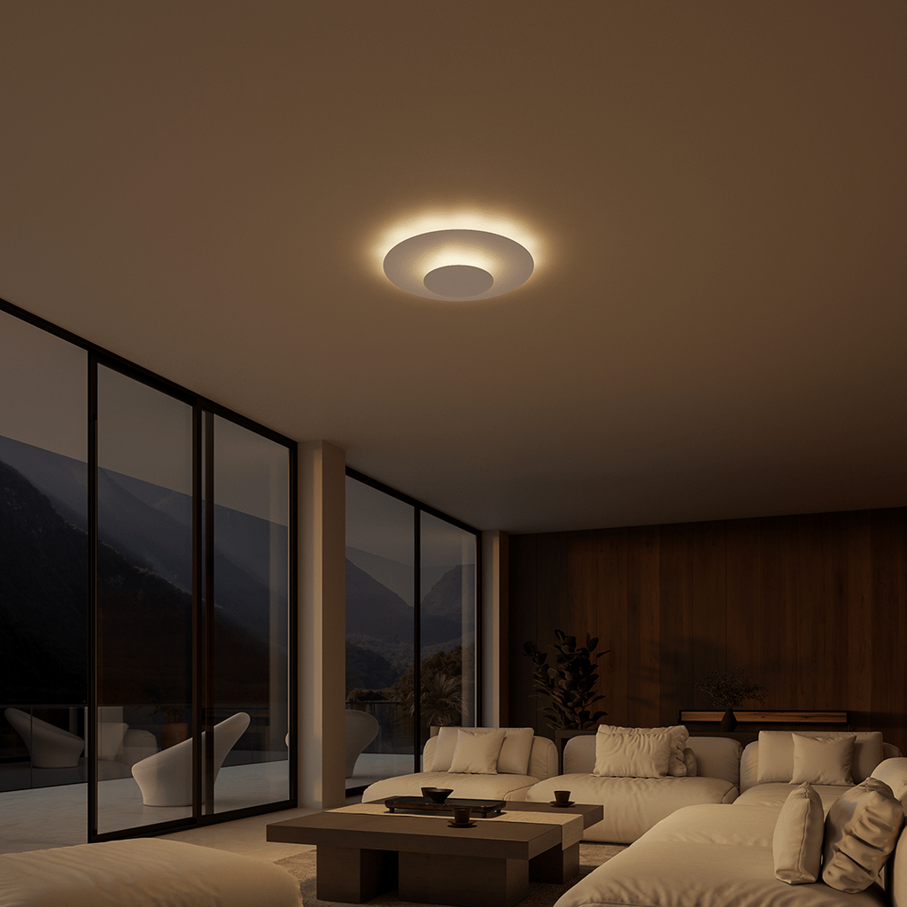 Flush Mount Ceiling Light LED Round Panel
