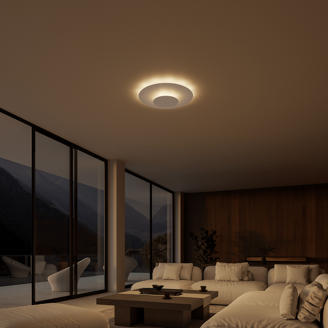 Flush Mount Ceiling Light LED Round Panel