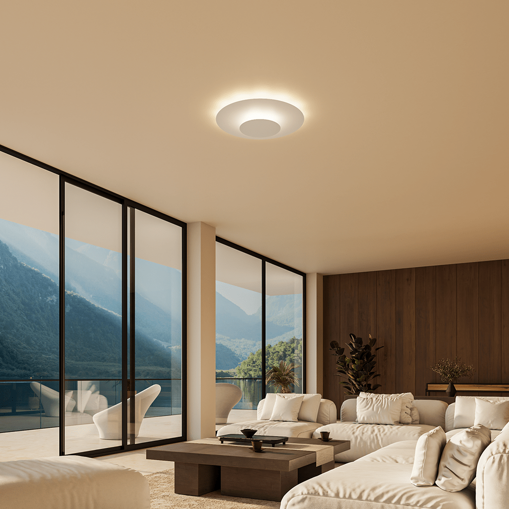 Flush Mount Ceiling Light LED Round Panel