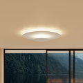 Flush Mount Ceiling Light LED Round Panel